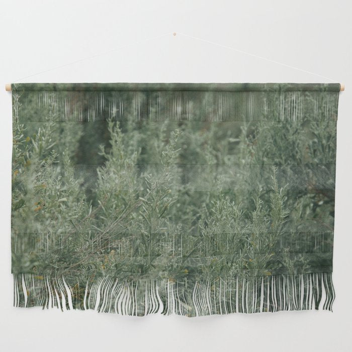 Sage Wall Hanging Gallery Image 1
