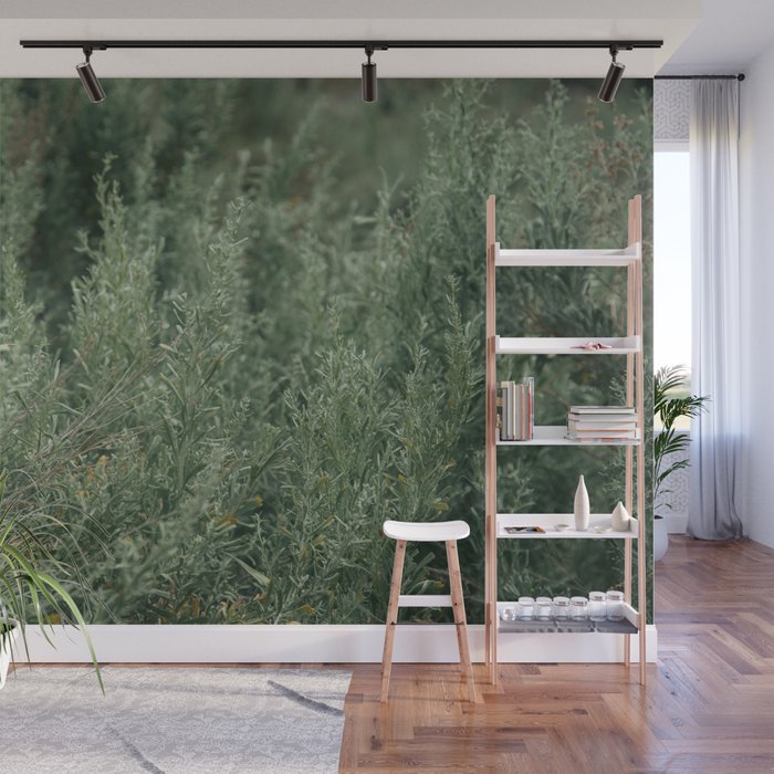 Sage Wall Mural Gallery Image 1