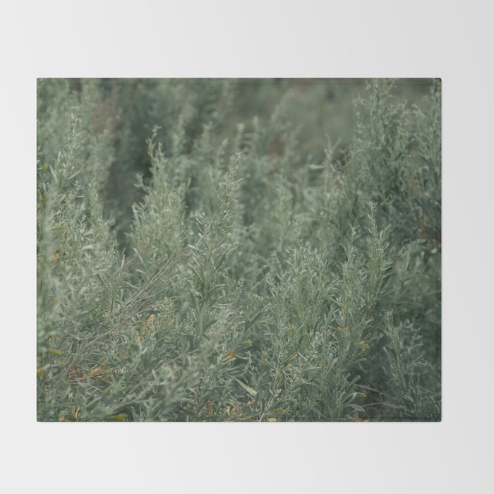 Sage Throw Blanket Gallery Image 2