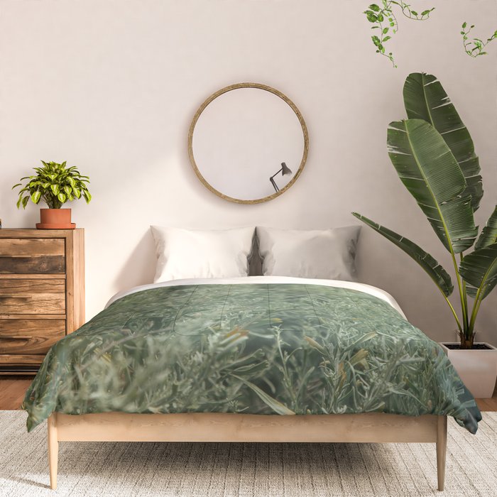 Sage Comforter Gallery Image 3