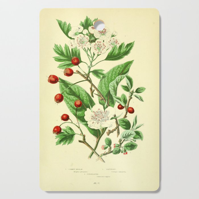 Hawthorn by Anne Pratt, 1800s (benefitting The Nature Conservancy) Cutting Board Gallery Image 1