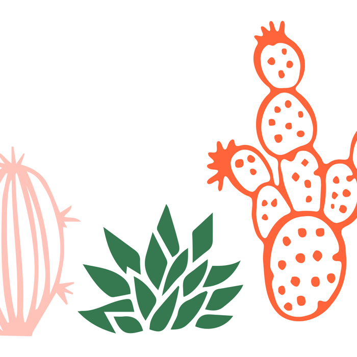 Hand drawn cactus plant art Coffee Mug Gallery Image 2