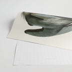 Great blue Heron - John James Audubon's Birds of America Print Wrapping Paper Gallery Image 2