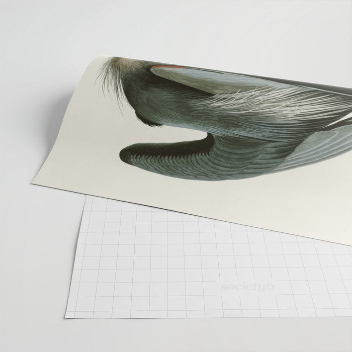 Great blue Heron - John James Audubon's Birds of America Print Wrapping Paper Gallery Image 2