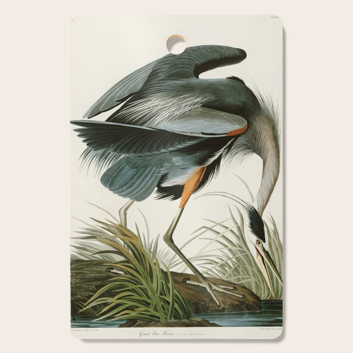 Great blue Heron - John James Audubon's Birds of America Print Cutting Board Gallery Image 1