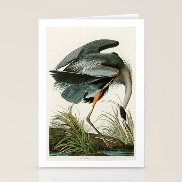 Great blue Heron - John James Audubon's Birds of America Print Stationery Card Gallery Image 1