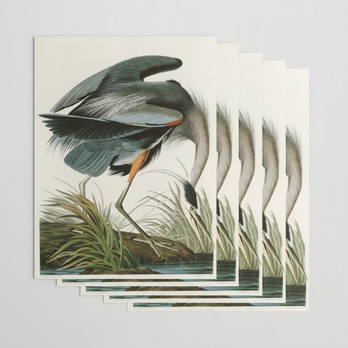 Great blue Heron - John James Audubon's Birds of America Print Wrapping Paper Gallery Image 3