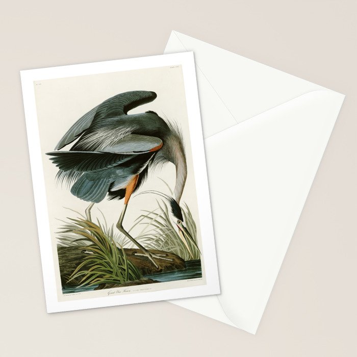 Great blue Heron - John James Audubon's Birds of America Print Stationery Card Gallery Image 2