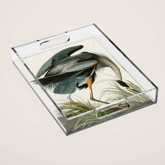 Great blue Heron - John James Audubon's Birds of America Print Acrylic Tray Gallery Image 1