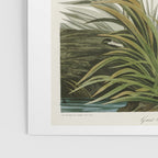 Great blue Heron - John James Audubon's Birds of America Print Poster Gallery Image 3