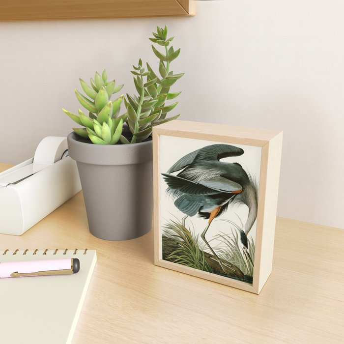 Great blue Heron - John James Audubon's Birds of America Print Mini Art Print Gallery Image 2