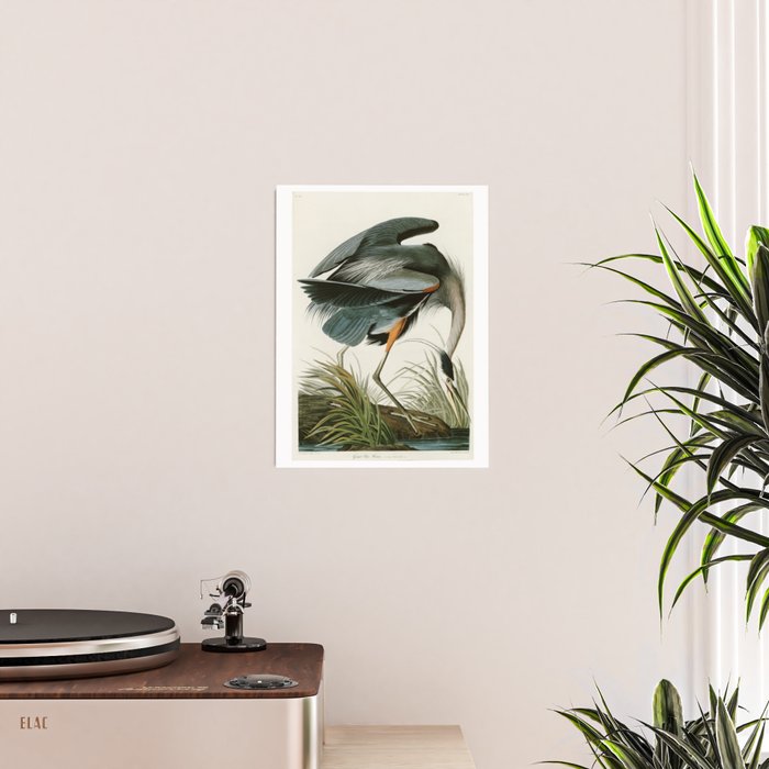 Great blue Heron - John James Audubon's Birds of America Print Poster Gallery Image 2