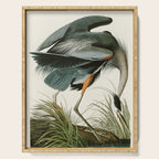 Great blue Heron - John James Audubon's Birds of America Print Serving Tray Gallery Image 1