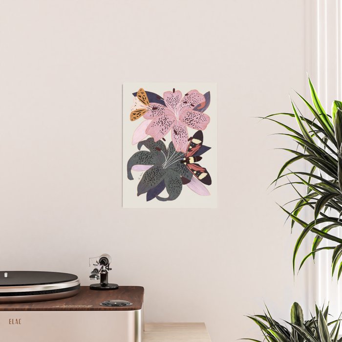 Lilies and butterflies insects Poster Gallery Image 2