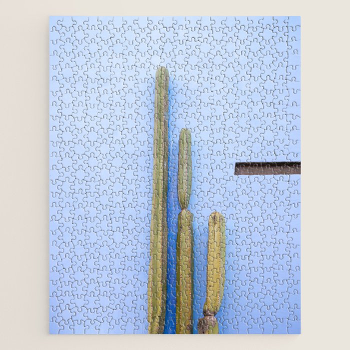 Oaxaca Cacti | Mexico travel photography Jigsaw Puzzle Gallery Image 1