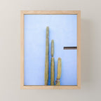 Oaxaca Cacti | Mexico travel photography Mini Art Print Gallery Image 1
