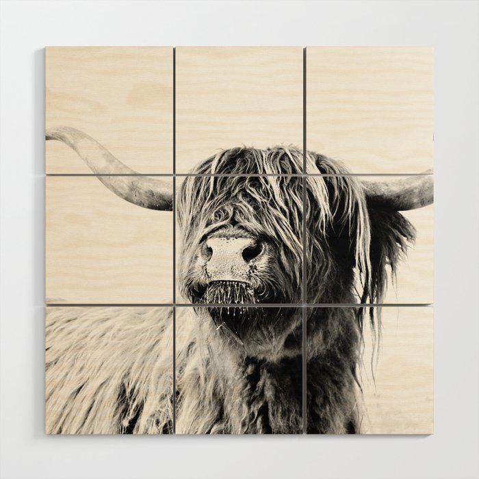 HIGHLAND CATTLE FRIDA Wood Wall Art Gallery Image 1