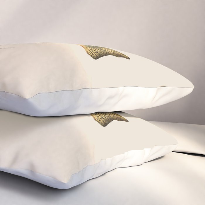 The Rainbow Trout Pillow Sham Gallery Image 3