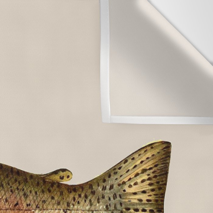 The Rainbow Trout Wall Tapestry Gallery Image 3