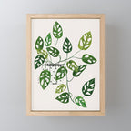 Monstera obliqua interior plant Mini Art Print Gallery Image 1