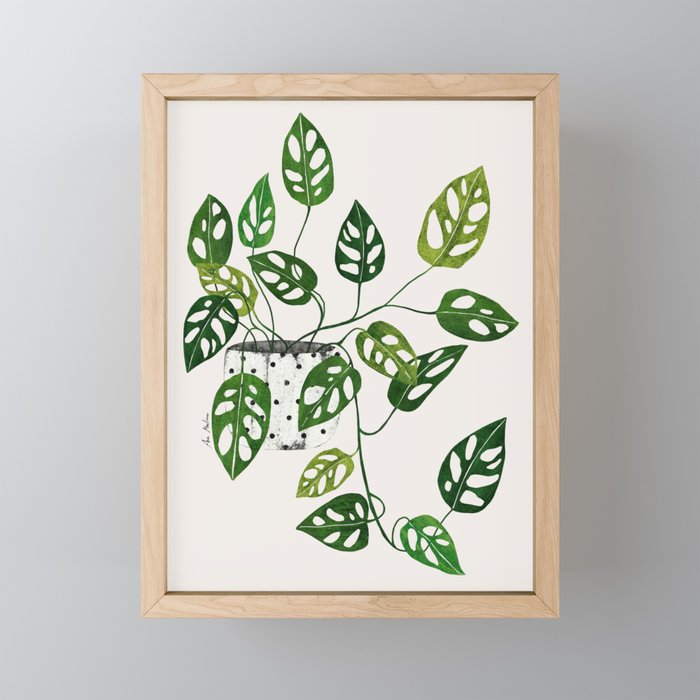 Monstera obliqua interior plant Mini Art Print Gallery Image 1