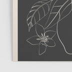 Lemons - Line Art 1 Poster Gallery Image 3
