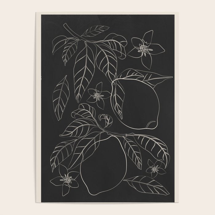 Lemons - Line Art 1 Poster Gallery Image 4