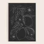 Lemons - Line Art 1 Poster Gallery Image 4