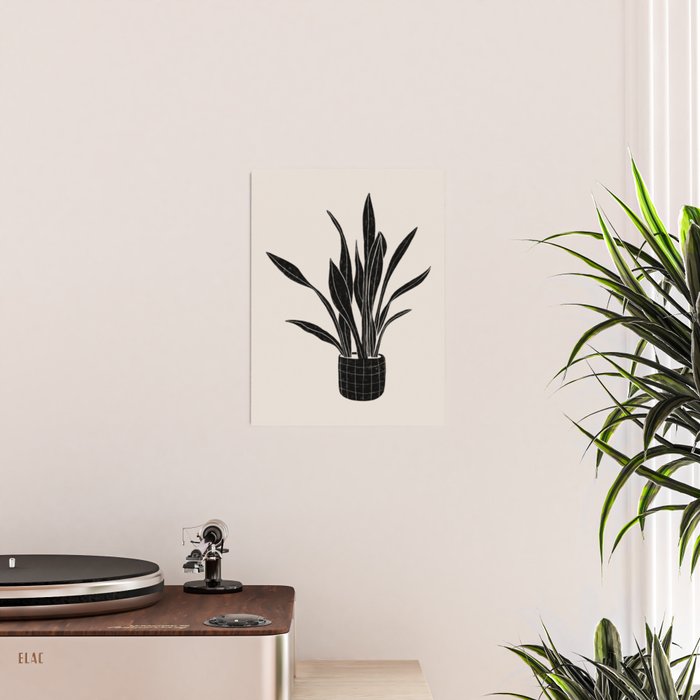 Black & White Plants / Snake Plant Poster Gallery Image 2