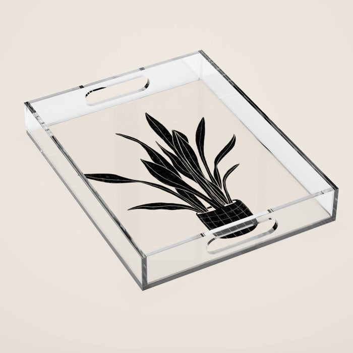 Black & White Plants / Snake Plant Acrylic Tray Gallery Image 1