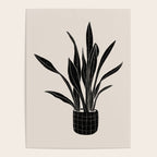 Black & White Plants / Snake Plant Poster Gallery Image 4