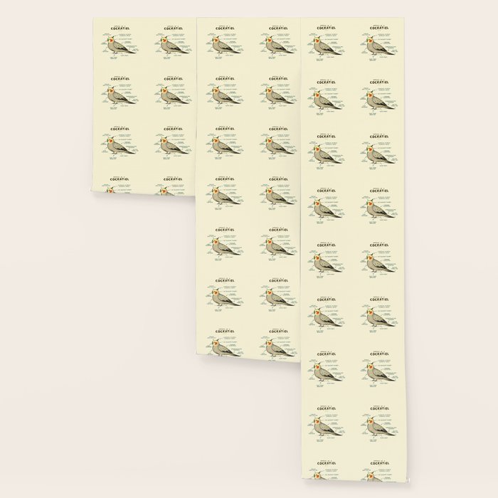 Anatomy of a Cockatiel Wallpaper Gallery Image 3