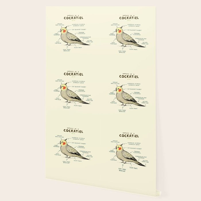 Anatomy of a Cockatiel Wallpaper Gallery Image 2