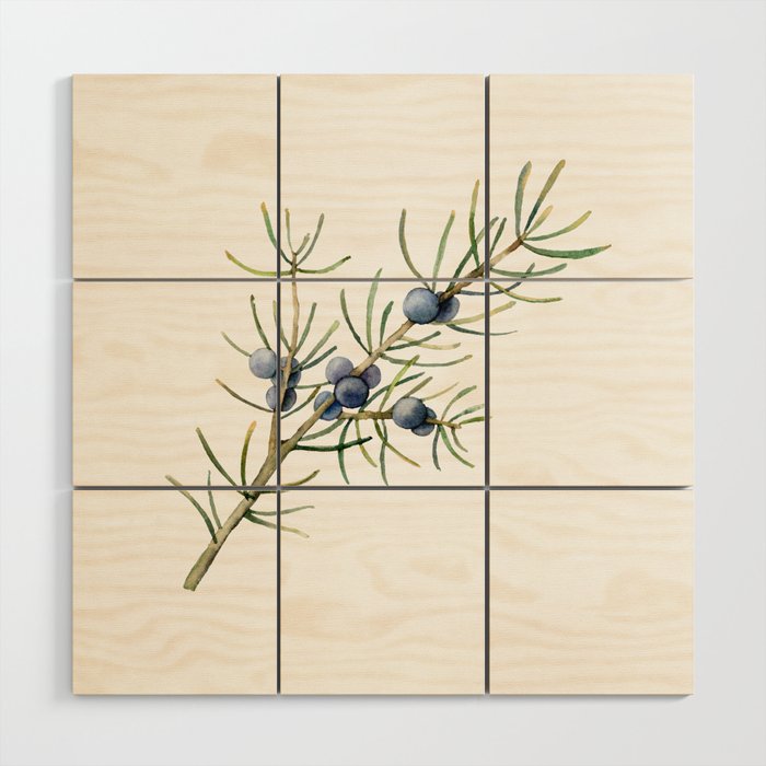 Juniper White Christmas Wood Wall Art Gallery Image 1