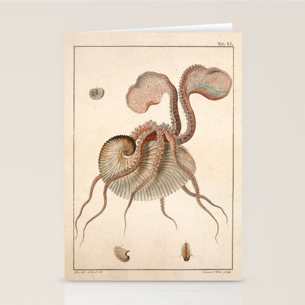Argonauta Argo octopus (paper nautilus) from an Italian natural history book, 1791 Stationery Card Gallery Image 1