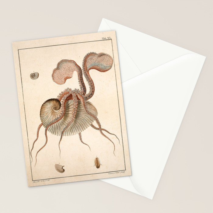 Argonauta Argo octopus (paper nautilus) from an Italian natural history book, 1791 Stationery Card Gallery Image 2