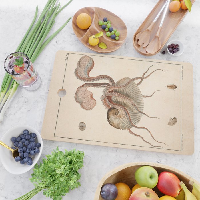 Argonauta Argo octopus (paper nautilus) from an Italian natural history book, 1791 Cutting Board Gallery Image 2