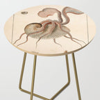 Argonauta Argo octopus (paper nautilus) from an Italian natural history book, 1791 Side Table Gallery Image 2
