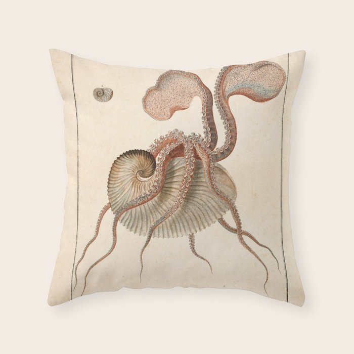 Argonauta Argo octopus (paper nautilus) from an Italian natural history book, 1791 Throw Pillow Gallery Image 6