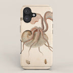 Argonauta Argo octopus (paper nautilus) from an Italian natural history book, 1791 iPhone Case Gallery Image 1