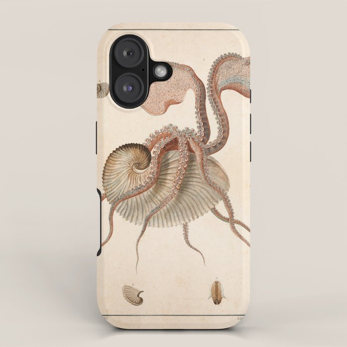 Argonauta Argo octopus (paper nautilus) from an Italian natural history book, 1791 iPhone Case Gallery Image 1