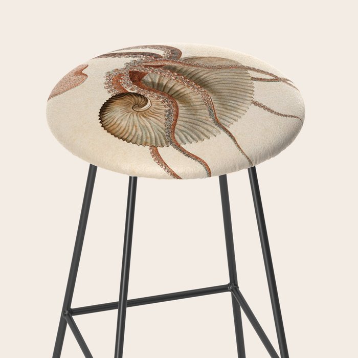 Argonauta Argo octopus (paper nautilus) from an Italian natural history book, 1791 Stool Gallery Image 2
