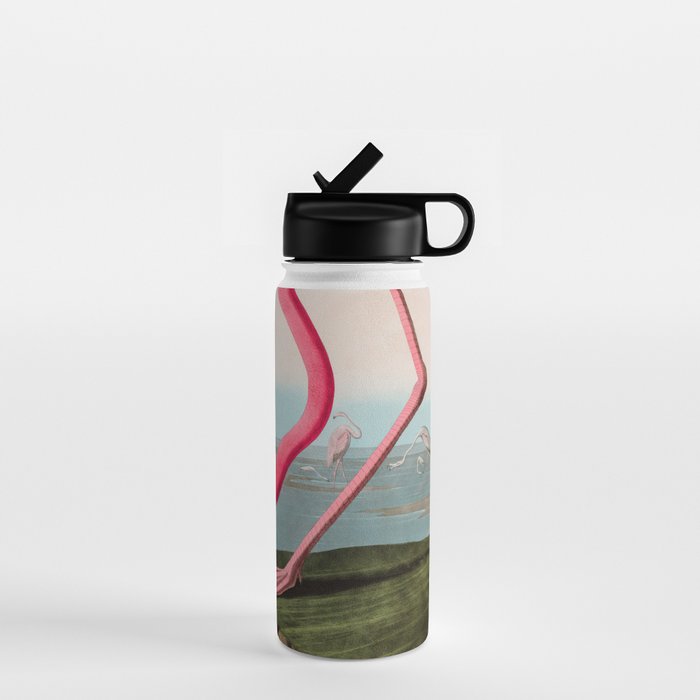 American Flamingo Birds of America Audubon Illustration Bird Lovers Gift Water Bottle Gallery Image 1