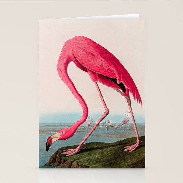 American Flamingo Birds of America Audubon Illustration Bird Lovers Gift Stationery Card Gallery Image 2