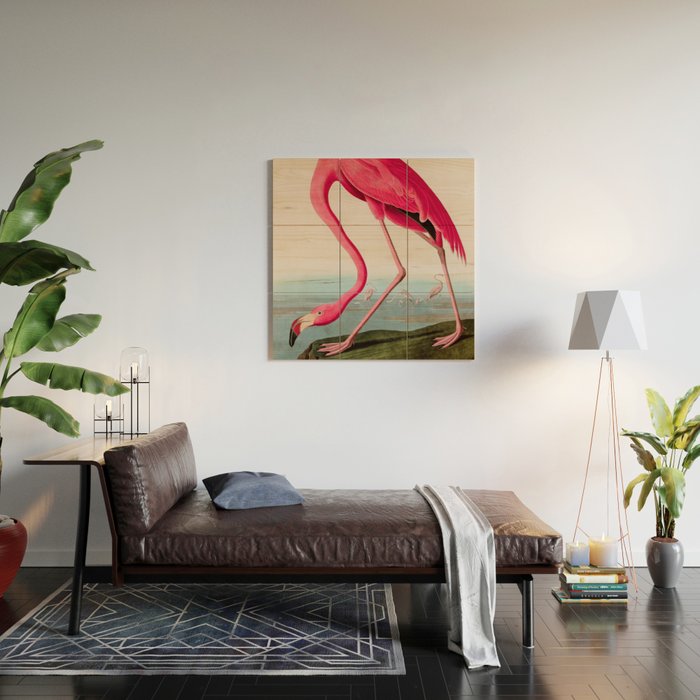 American Flamingo Birds of America Audubon Illustration Bird Lovers Gift Wood Wall Art Gallery Image 2