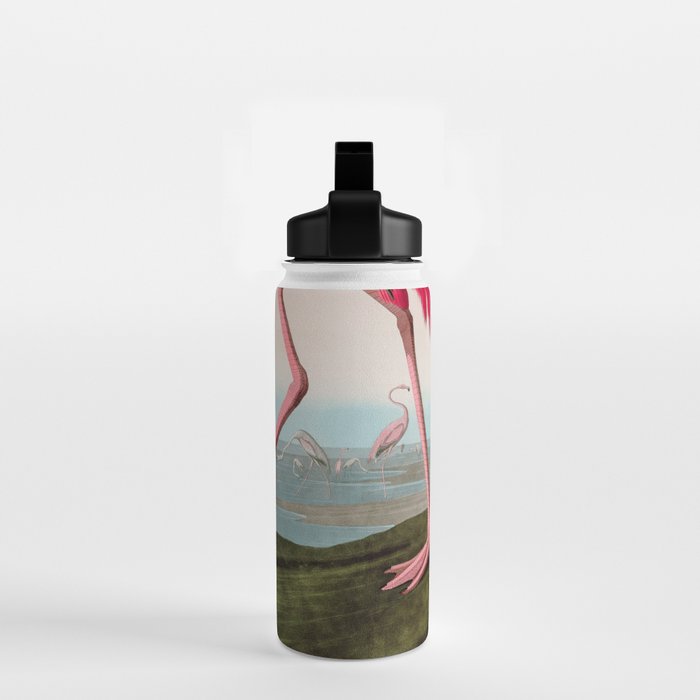 American Flamingo Birds of America Audubon Illustration Bird Lovers Gift Water Bottle Gallery Image 2