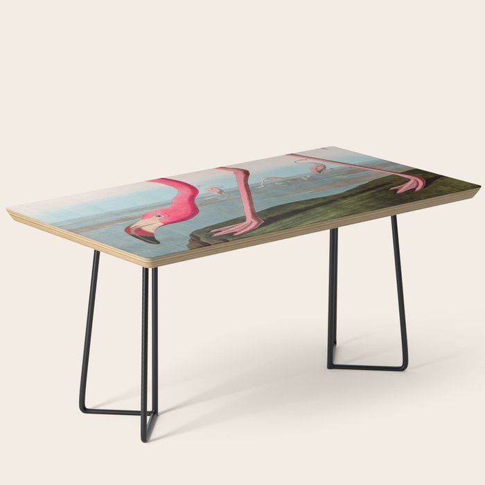 American Flamingo Birds of America Audubon Illustration Bird Lovers Gift Coffee Table Gallery Image 1