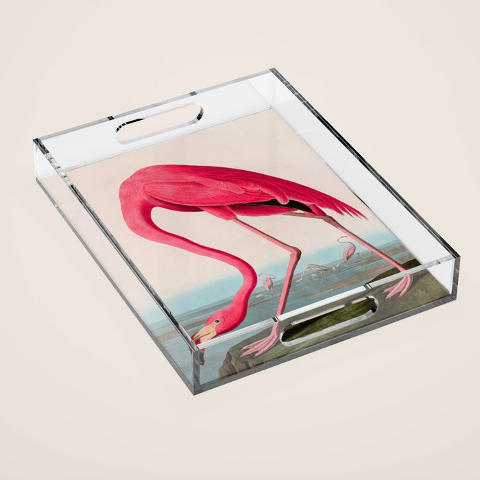 American Flamingo Birds of America Audubon Illustration Bird Lovers Gift Acrylic Tray Gallery Image 1
