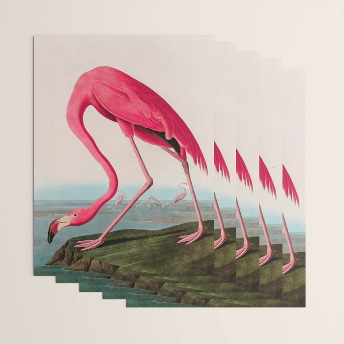 American Flamingo Birds of America Audubon Illustration Bird Lovers Gift Wrapping Paper Gallery Image 3