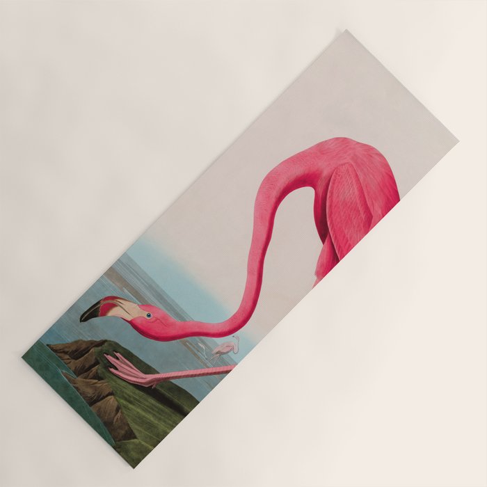 American Flamingo Birds of America Audubon Illustration Bird Lovers Gift Yoga Mat Gallery Image 1